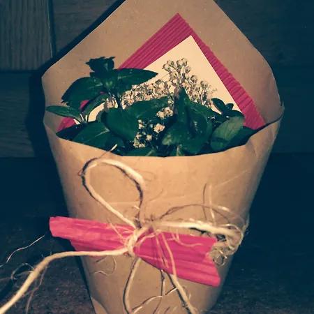 B&B Cascina Bellezza 3*