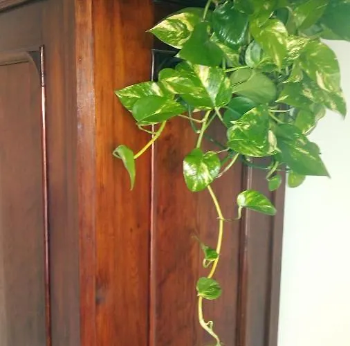 Cascina Bellezza Bed & Breakfast Poirino