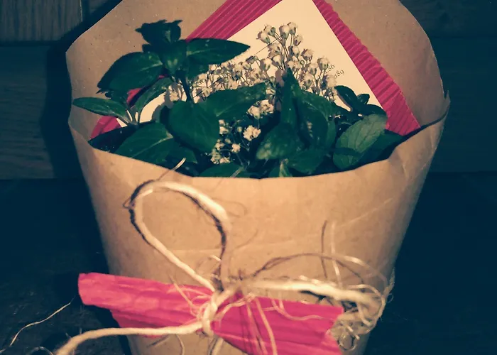 Bed & Breakfast Cascina Bellezza 3*